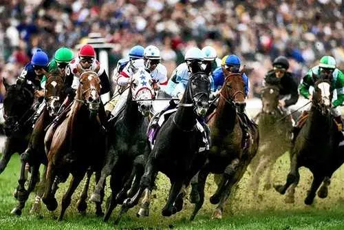 Horse racing betting guide